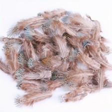 50PCS Naturel Coq Plumes