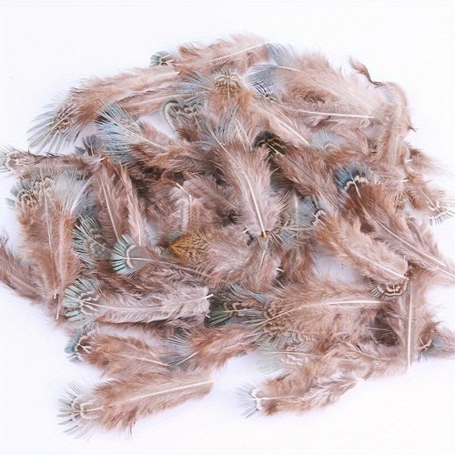 50pcs naturel coq plumes - 50pcs,