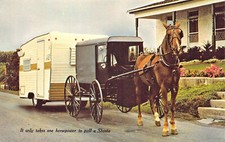 Cheval & Amish Wagon Qui Tire