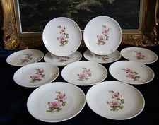 11 assiettes porcelaine