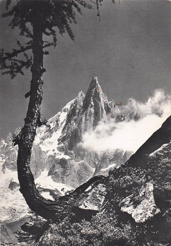 Chamonix mont blanc les - 74,