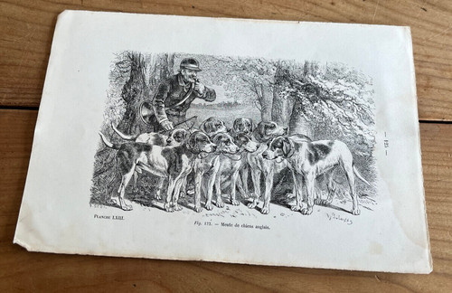 Gravure ancienne chien n61 - ancienne,