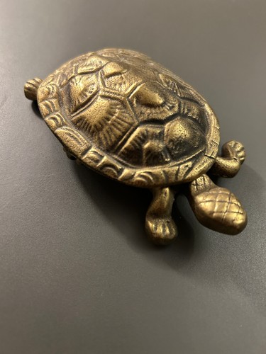 Tortue bronze boîte - tortue, en