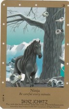 CARTE CARD BELLA SARA COLLECTION 2005 - 2007 - 40/97 NINJA