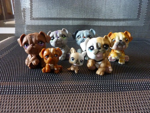Lot petshop chien bouledogue - , +