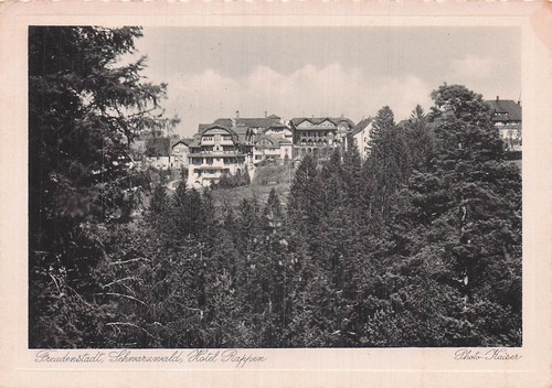 Allemagne freudenstadt hotel - freudenstadt,