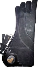 Résistant Eagle, Fauconnerie