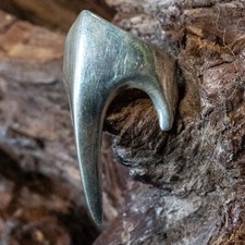 Corbeau Bec Articulation Bague