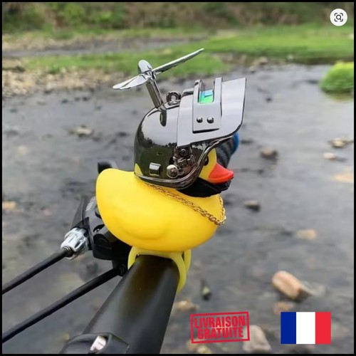 Canard jaune moto voiture - canard,