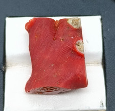 Branche de corail rouge sang