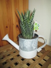 Cache pot Arrosoir,motif feuilles,couleur gris/blanc,en métal,Neuf!