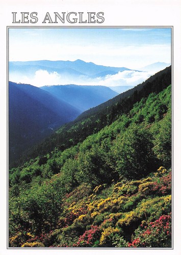 Les angles pyrenees - les,