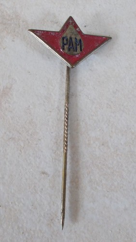 Badge vintage pins pétrole - badge,