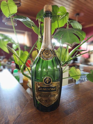 Bouteille champagne vide - de,