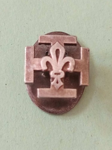 Insigne boutonnière scout - -,