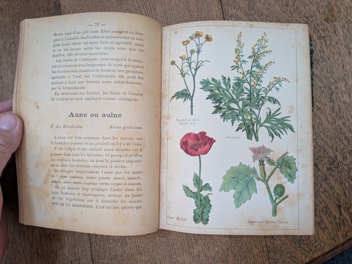 Livre ancien lehamau plantes - livre, ancien-lehamau-plantes