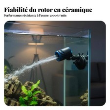 Pompe de Brassage pour