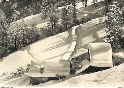 Carte postale serre - postale, 05
