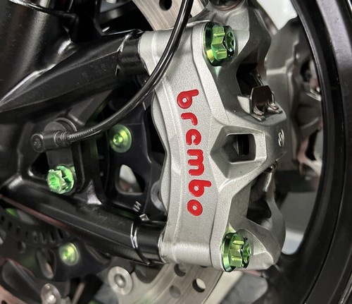 Kawasaki 1000 ninja - 1000,