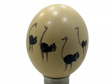 Oeuf d'autruche broyé motif