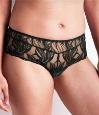 Shorty Into The Groove Aubade