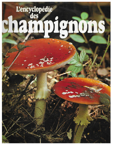 Encyclopedie des champignons - encyclopedie,