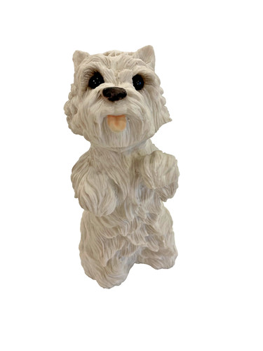 Westie west highland terrier - westie,