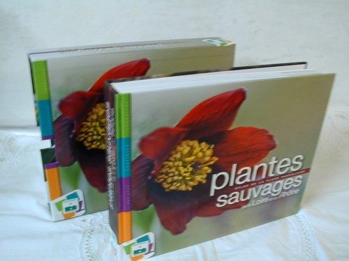 Plantes sauvages loire - sauvages,