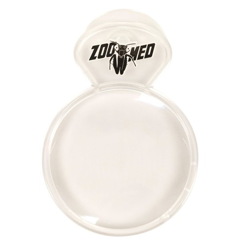 Loupe Creature Close-up de Zoo