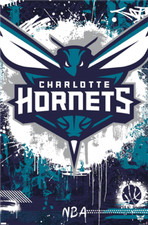 Charlotte Hornets - Maximalist