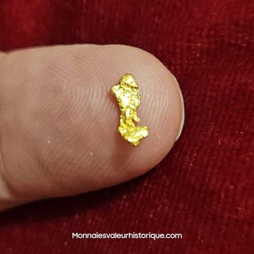 Pépite naturelle - d’or,