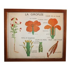 Affiche pédagogique scolaire