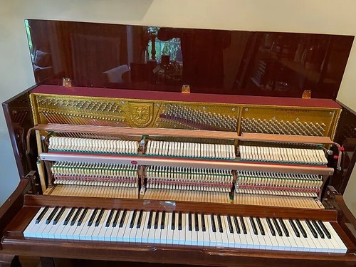 Rieger kloss 122 1990s - rieger-kloss,