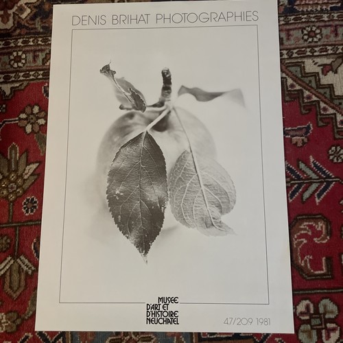Denis brihat photographies - brihat,
