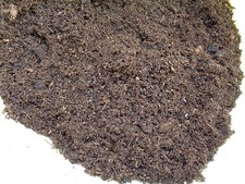 Substrat plante carnivore orchidée : 100% Tourbe Blonde 1000 gr