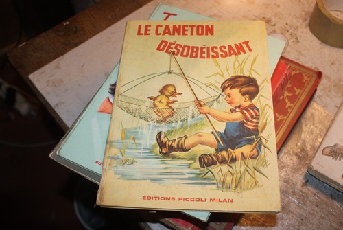 Caneton désobéissant - le,