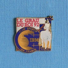 1 PIN S /   IBM FRANCE   CLUB SPORTIF CHEVAL CAMARGUAIS & PIQUE DES GARDIANS.
