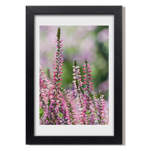 Tulup photo salon 20x30cm - salon,