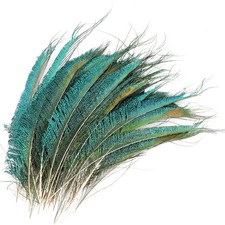 30 pcs Plumes d'épée de paon