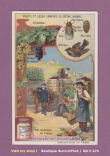 CHROMO LIEBIG : FRUITS & ENNEMIS RÈGNE ANIMAL : PHYLLOXÉRA, MOINEAU -P273