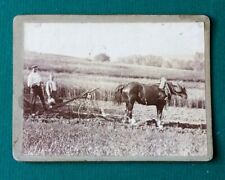 PHOTO ancienne Agriculture Labour sillon Blé Cheval Paysans Charrue Champs