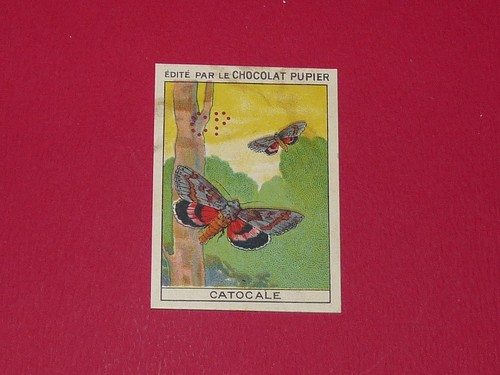 Chromo pupier 1930 album - chromo,