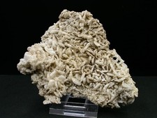 ÉPIDOTE SUR ALBITE - CANARI, CORSE, FRANCE - 10,4 x 8,5 cm - 83 g