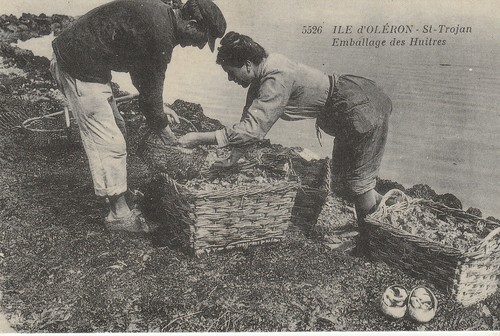 Copie carte postale - copie,
