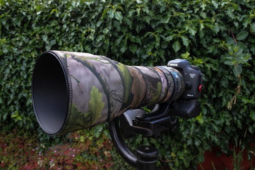 Tamron 150 600mm g2 - 600mm,