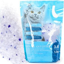 Litière pour chat litière en