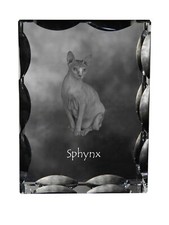 Sphynx cadre cristal - en,