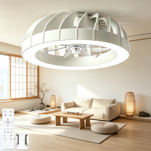 Ventilateur avec éclairage - ventilateur,