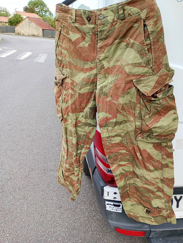 Pantalon tta bariolé lézard - pantalon,