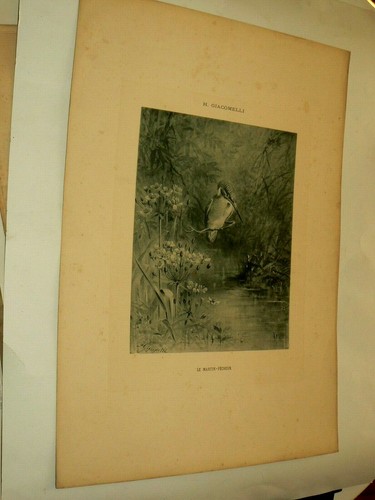 Grande gravure ancienne - gravure,